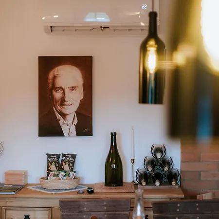 U Starecka Apartman Hovorany